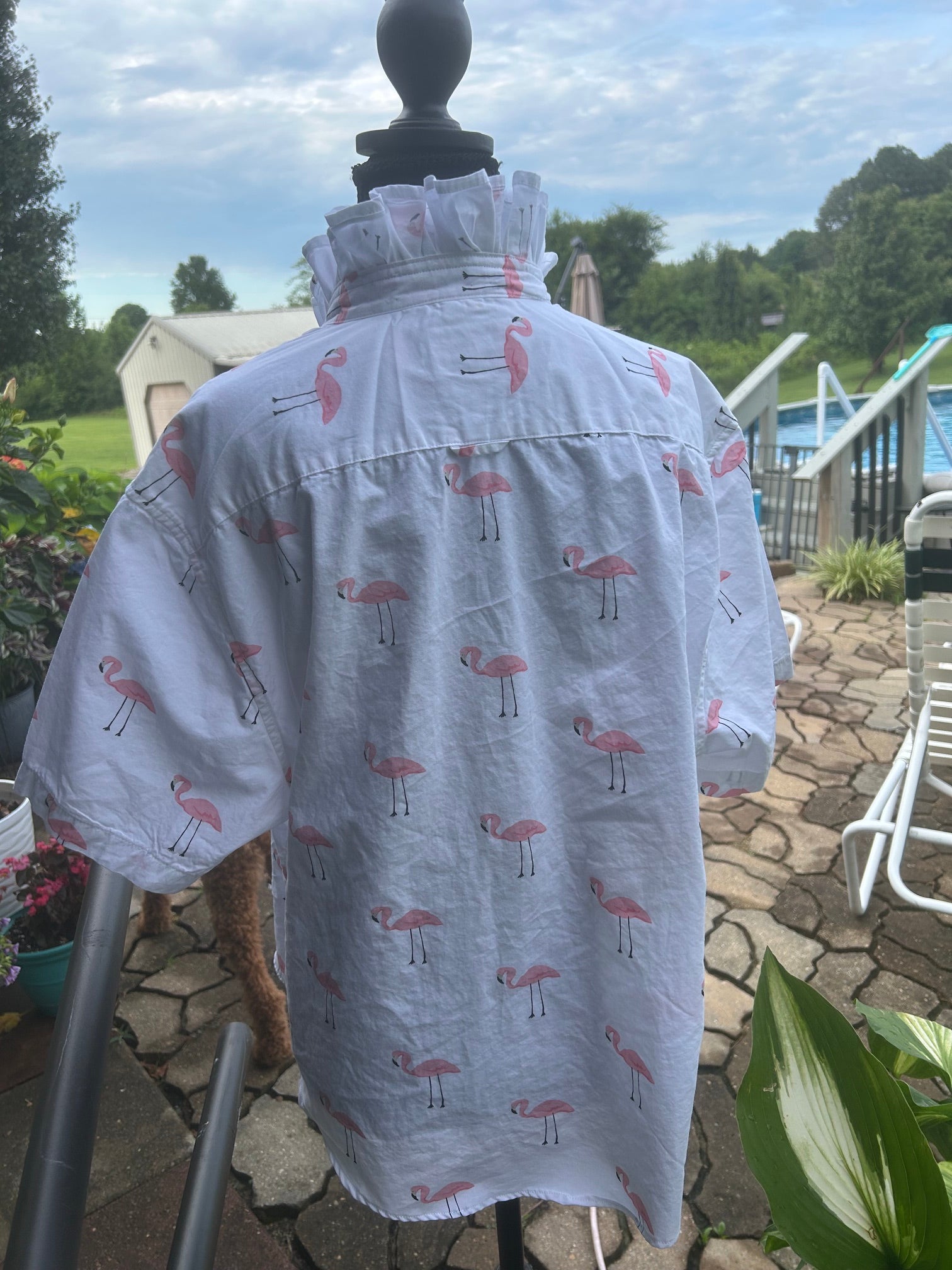 Playful pink flamingo print with a signature ruffled collar